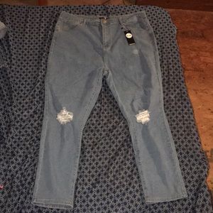 Plus High Waist Distressed Skinny Jean